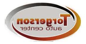 托格森汽车中心 Logo